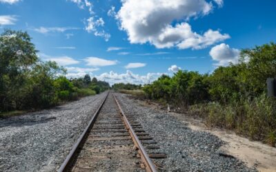 Railroad tracks surrounded by overgrown weeds under a cloudy sky.