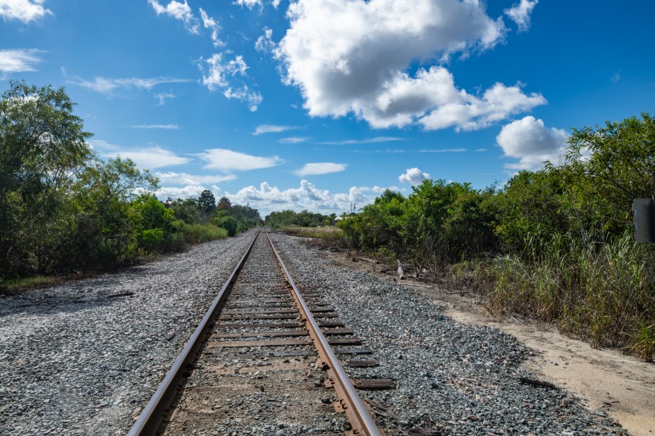 Railroad tracks surrounded by overgrown weeds under a cloudy sky.